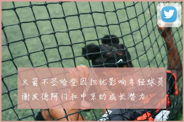 火箭不签哈登因担忧影响年轻球员谢泼德阿门和申京的成长潜力